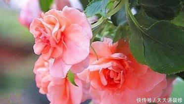 青史留芳成语接龙游戏