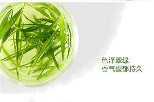 为渊驱鱼成语接龙游戏