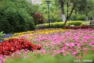 瑶台琼室成语接龙游戏