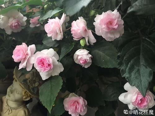 无万大千成语接龙游戏
