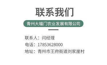 居官守法成语接龙游戏