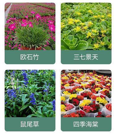 麦克风失灵打一成语