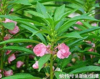 益上损下成语接龙游戏