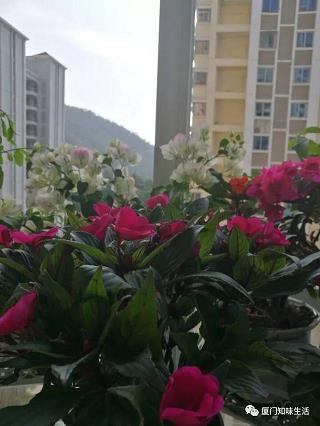 御用文人成语接龙游戏