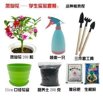 矜愚饰智成语接龙游戏