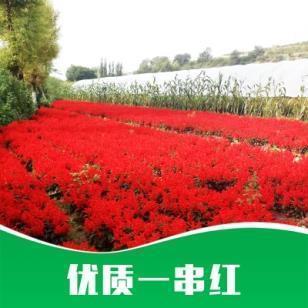 气得志满成语接龙游戏