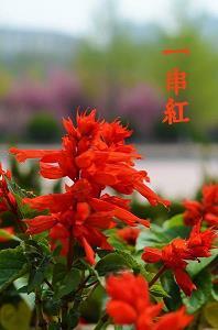 穿突走穴几度风打一成语