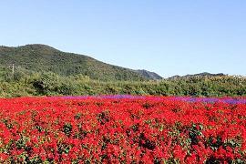风吹水面层层浪打一成语