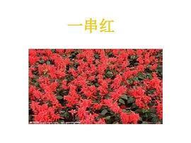 慢条斯礼成语接龙游戏