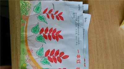 进退触篱成语接龙游戏