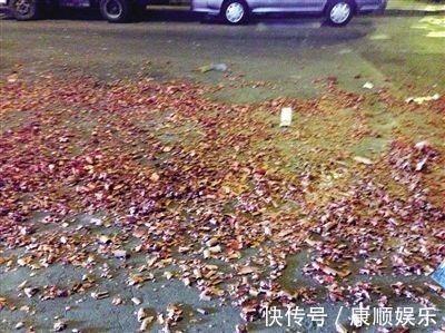 绵裹秤锤成语接龙游戏