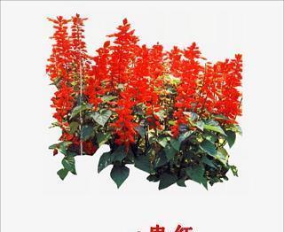 警愦觉聋成语接龙游戏