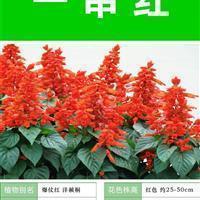患难相死成语接龙游戏