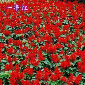 拱手而降成语接龙游戏