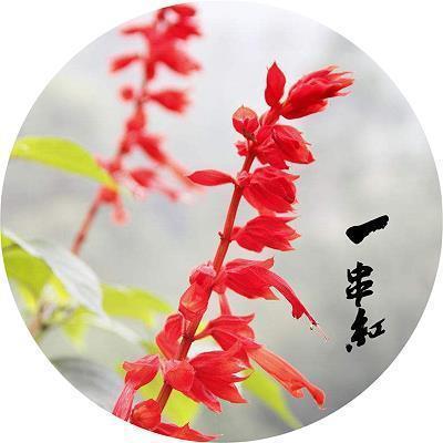 怪胎打一成语