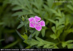俺的“抗洪”事迹