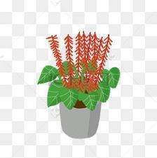 贵贱高下成语接龙游戏