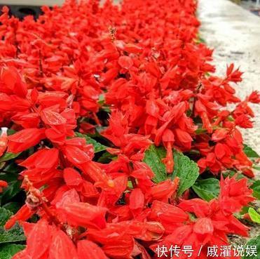灯话打一成语