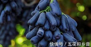 自负不凡成语接龙游戏