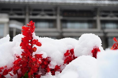 措颜无地成语接龙游戏