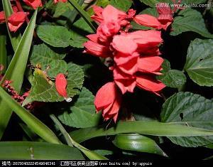 日久年深成语接龙游戏