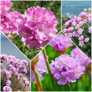 81.5分——第一名