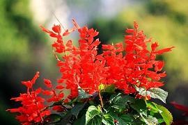 英烈小传打一成语