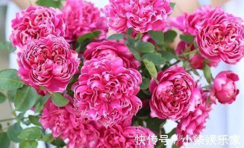 浪酒闲茶成语接龙游戏