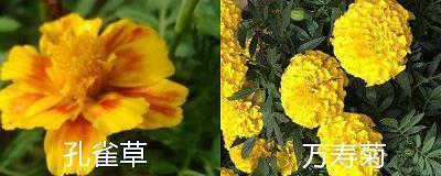 永劫沉轮成语接龙游戏