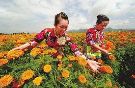 泥石流打一成语