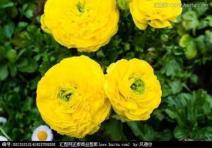 有害无益成语接龙游戏