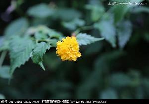 近亲结婚打一成语