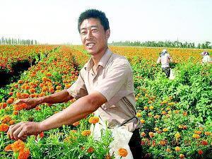 洗垢求瑕成语接龙游戏