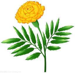 管窥蛙见成语接龙游戏