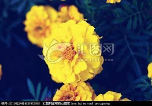 鬼家打一成语
