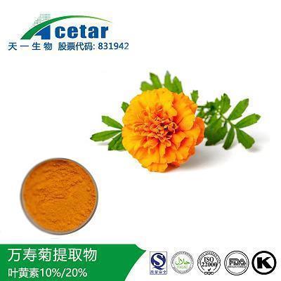 违心之言成语接龙游戏