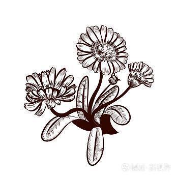 流离琐尾成语接龙游戏