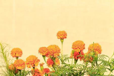 返观内视成语接龙游戏