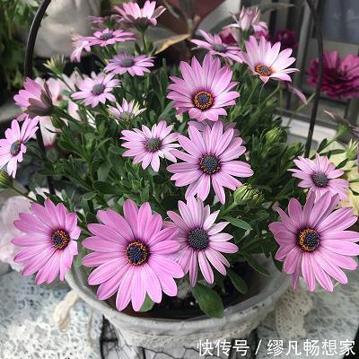 门阔好迎客打一成语