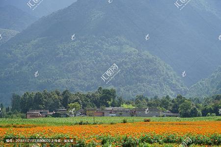 汗洽股栗成语接龙游戏