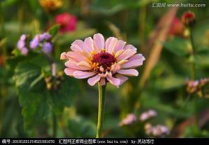 短衣匹马成语接龙游戏