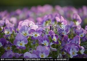 防意如城成语接龙游戏
