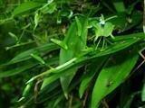 顿开茅塞造句-用顿开茅塞怎么造句