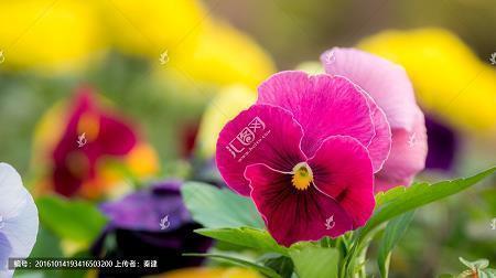 祁奚之举成语接龙游戏