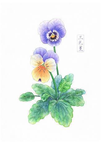 虽覆能复成语接龙游戏