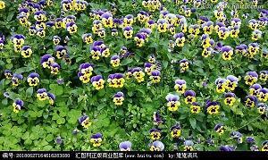 特种仓库打一成语