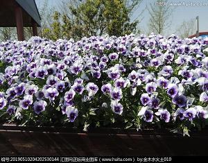 柔能克刚成语接龙游戏
