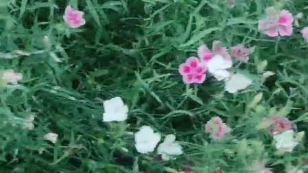 下春雨啦
