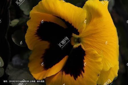瑶池玉液成语接龙游戏