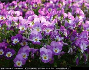 羽化登仙成语接龙游戏